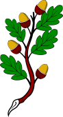 Oak Branch-4 Acorns (version 2)