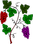Grape Vine-2 Bunches