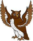 Owl Wings Displayed