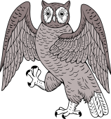 Owl I