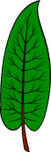 Dock-leaf
