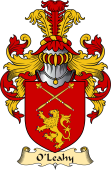 Irish Family Coat of Arms (v.23) for O'Leahy