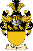 Irish Family Coat of Arms (v.23) for Wogan