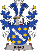 Norwegian Coat of Arms for Knag or Knagennielin