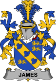 Irish Coat of Arms for James