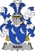 Irish Coat of Arms for Nash or Naish