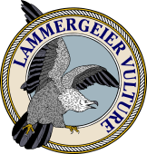 Lammergeier Vulture-M