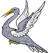 Heron Volant