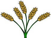 Wheat Stalks (5)