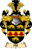 Irish Family Coat of Arms (v.23) for Hill