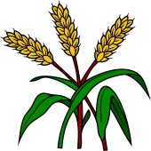 Wheat Stalks (3) Bladed