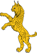 Lynx Salient