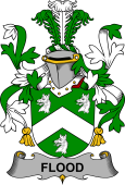 Irish Coat of Arms for Flood