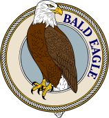 Bald Eagle Perching-M
