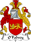 Irish Coat of Arms for O'Falvey