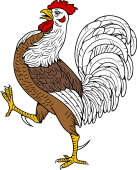 Rooster (Cock)