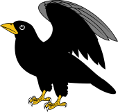 Crow or Rook Wings Elevated II