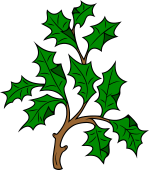 Holly Branch