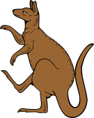 Kangaroo