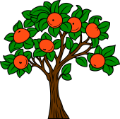 Orange Tree