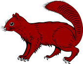 Squirrel Statant