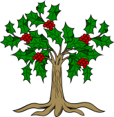 Holly Tree Fructed Eradicated