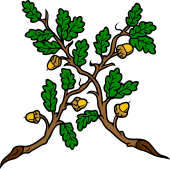 Oak Branches in Saltire