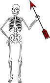 Skeleton Holding Arrow