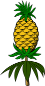Pineapple with Stalk