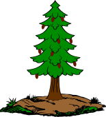 Fir Tree, Seeded, on a Mount