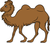 Camel Passant II