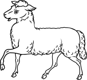 Lamb Passant Left Foot Raised