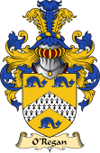 Irish Family Coat of Arms (v.23) for O'Regan