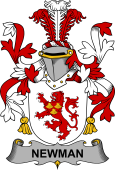 Irish Coat of Arms for Newman