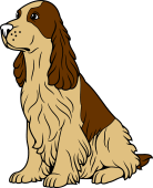 Spaniel Sejant