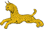 Lynx Courant