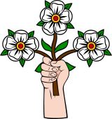 Hand 80 Erect Holding Roses (3)