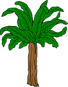 Banana or Palm Tree