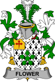 Irish Coat of Arms for Flower