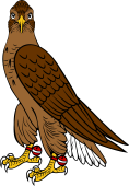 Falcon Close Guardant