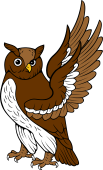 Owl Wings Endorsed