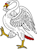 Swan Rampant Wings Elevated Version 2