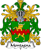 Italian Coat of Arms for Montagna