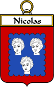 French Coat of Arms Badge for Nicolas