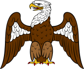 Eagle Displayed Perched or Standing