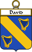 French Coat of Arms Badge for David
