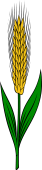 Wheat Ear Bladed