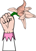 Hand Cuffed Holding Orchid