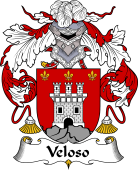 Portuguese Coat of Arms for Veloso