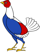 Cock (Game)